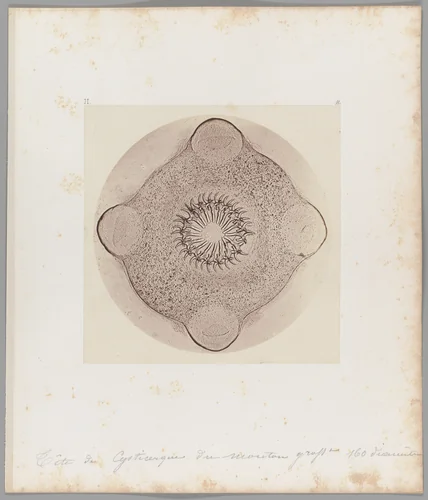[Untitled] by Auguste-Adolphe Bertsch, photograph, 1853-1857