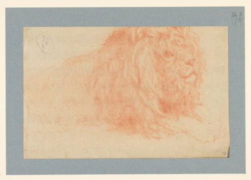 Studie van een leeuw by Jean Baptiste Hilaire, drawing, 1763-1822