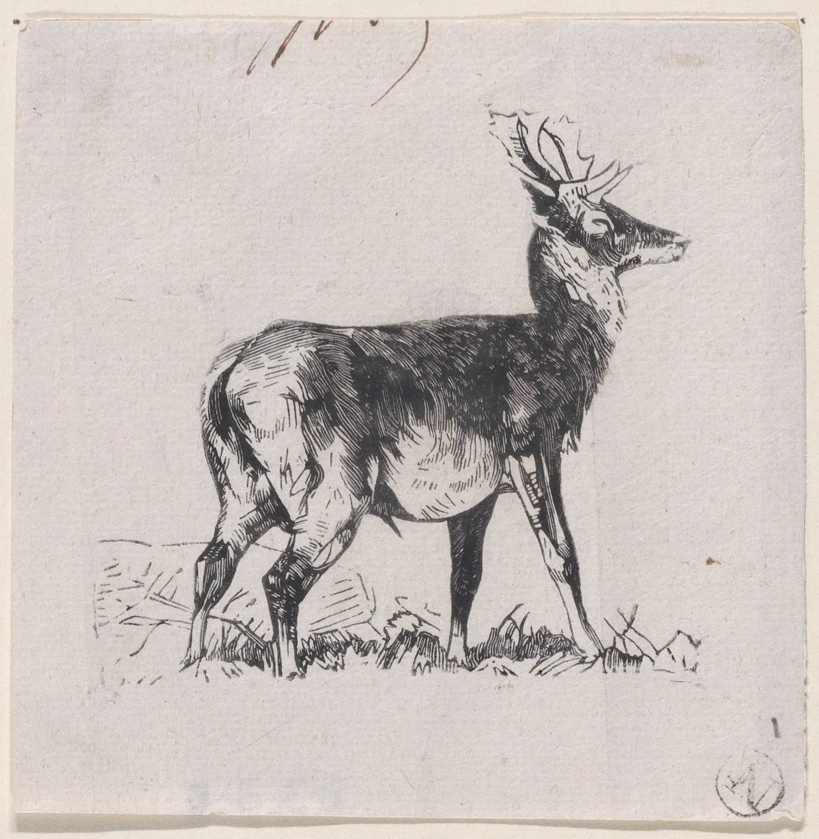 The Deer by Charles Jacque, print, 1848-1858