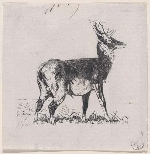 The Deer by Charles Jacque, print, 1848-1858
