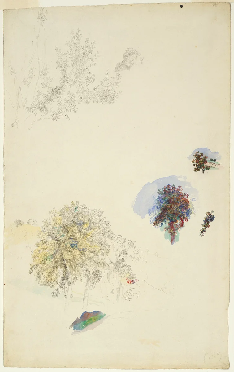 Studies of Trees and Foliage by Pierre-Auguste Renoir, painting, 1884-1887