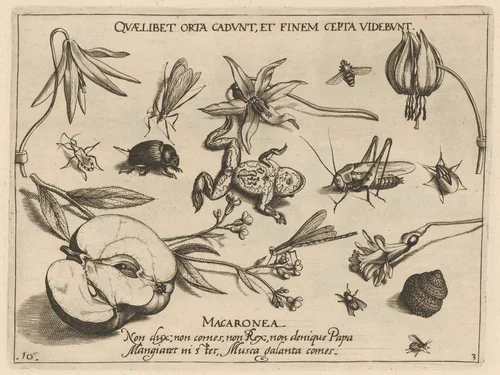 Archetypa studiaque patris Georgii Hoefnagelii [Part 3, Plate 10] by Jacob Hoefnagel; Joris Hoefnagel, print, 1592
