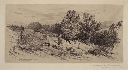 A Fallow Field by James David Smillie, print, 1883
