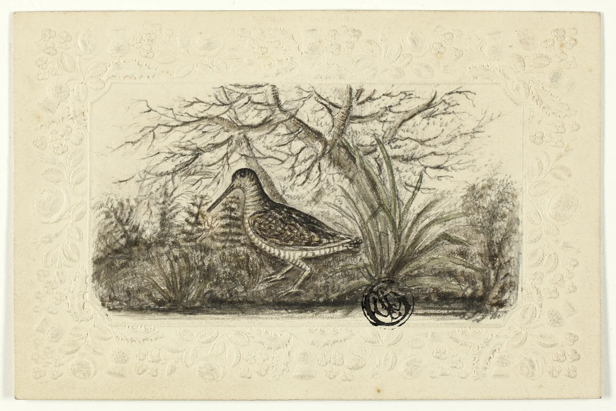 Grouse by Henry LeJeune, drawing, 1839-1904