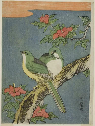 Two Birds on Hibiscus Tree by Isoda Koryusai, print, 1765-1775