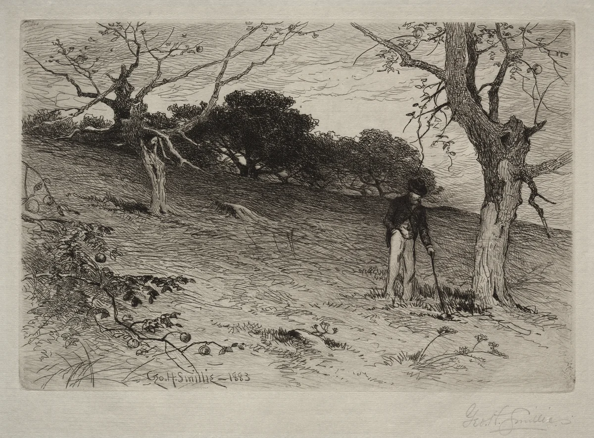 Landscape by George Henry Smillie, print, 1883