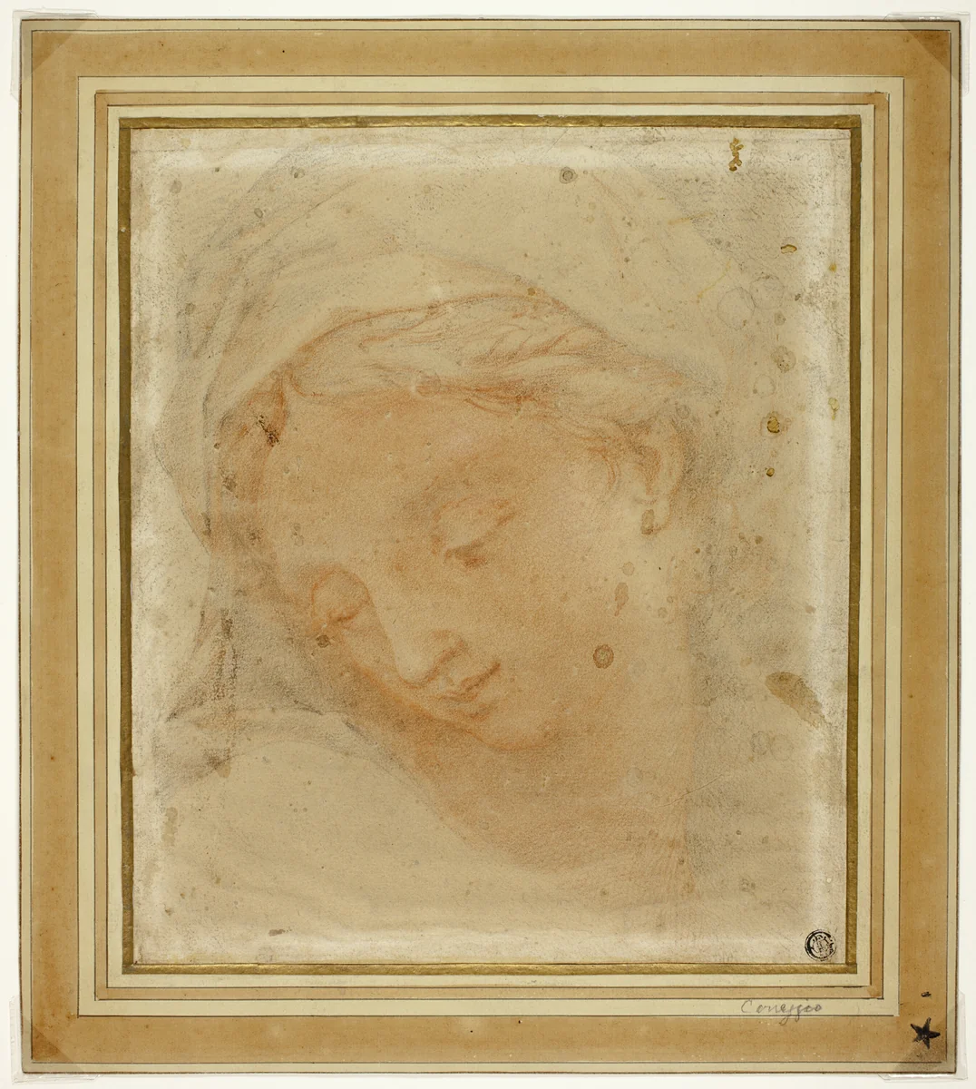 Woman's Head by Giovanni Battista Vanni, drawing, 1520-1525