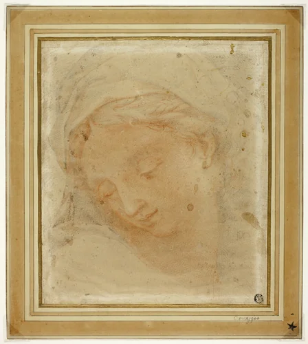 Woman's Head by Giovanni Battista Vanni, drawing, 1520-1525