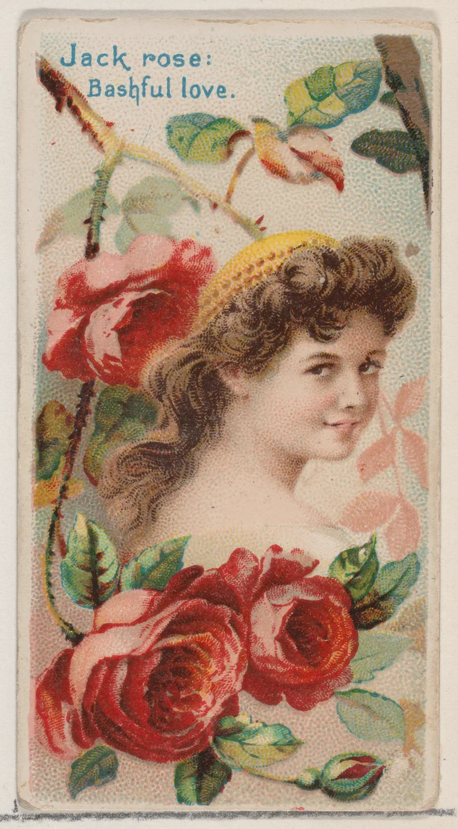 Jack Rose: Bashful Love, from the series Floral Beauties and Language of Flowers (N75) for Duke brand cigarettes by American Tobacco Company, print, 1892