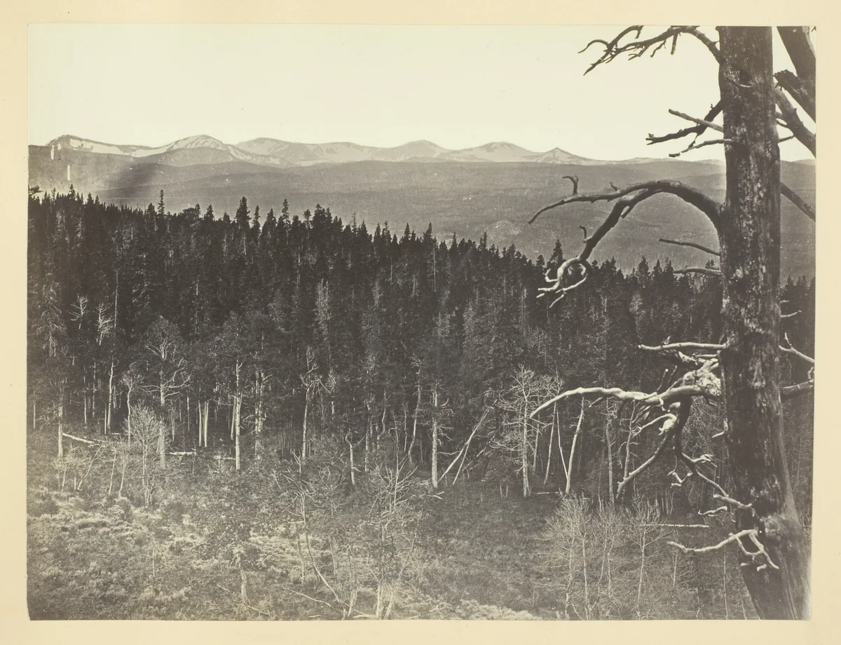 Snow and Timber Line, Medicine Bow Mountain by Andrew J. Russell, photograph, 1868-1869