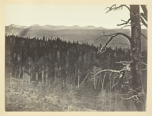 Snow and Timber Line, Medicine Bow Mountain by Andrew J. Russell, photograph, 1868-1869