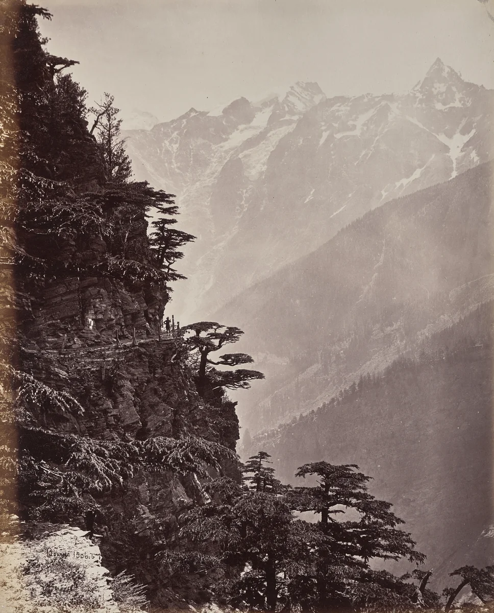 The Upper Himmalayahs. View on the New Road Near Rogi by Samuel Bourne, photograph, 1863-1870