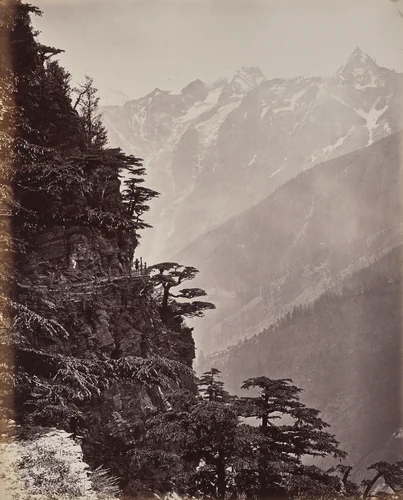 The Upper Himmalayahs. View on the New Road Near Rogi by Samuel Bourne, photograph, 1863-1870