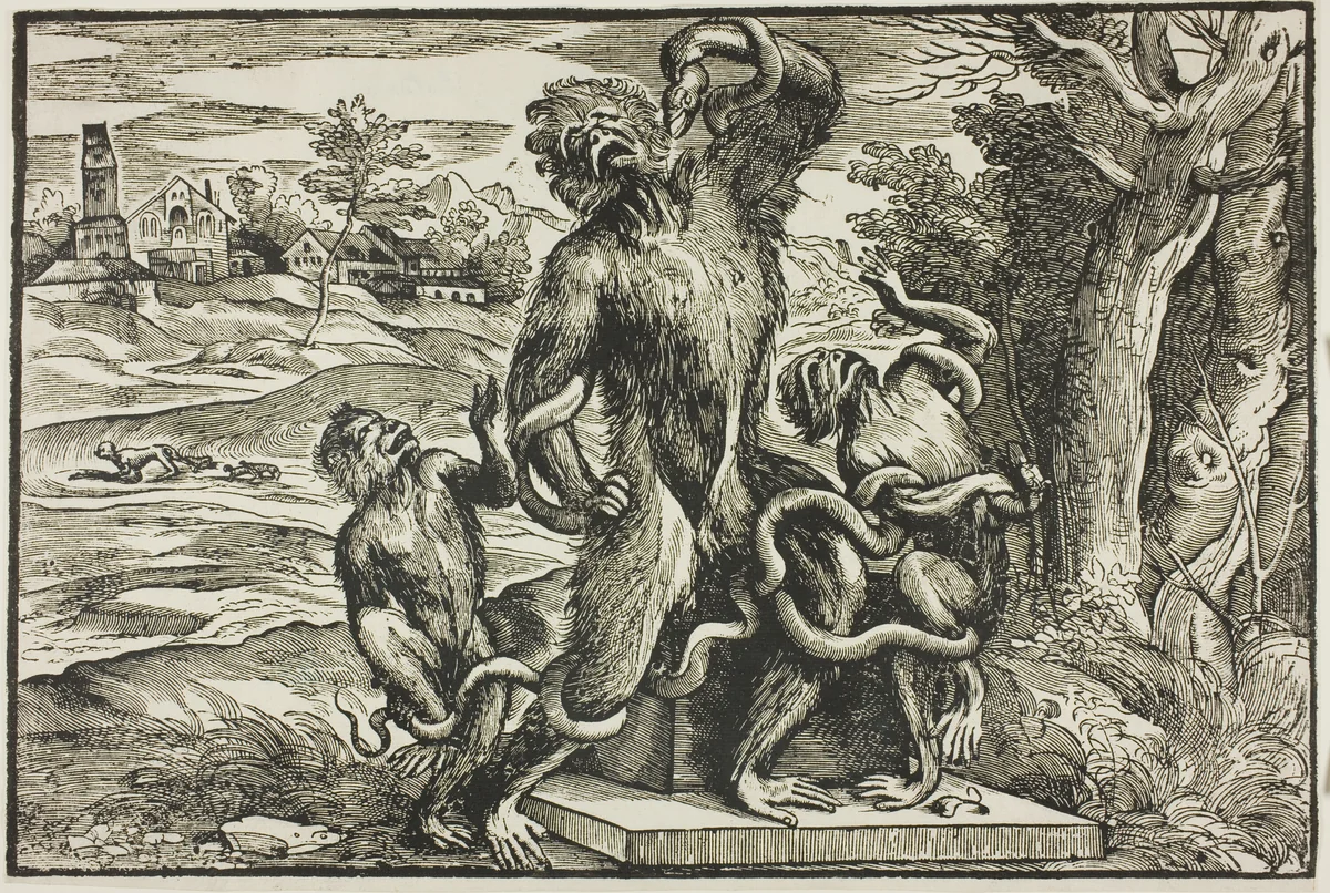 Laocoön by Nicolò Boldrini, print, 1535-1550