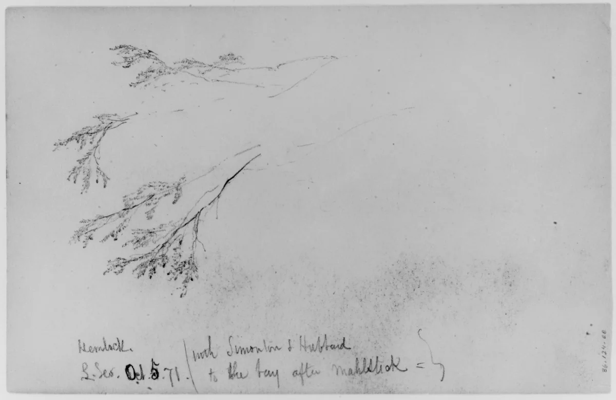 Study of Hemlock, 1871 (from Sketchbook) by Daniel Huntington, artwork, 1870