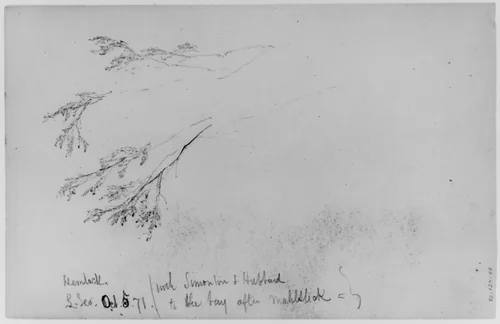 Study of Hemlock, 1871 (from Sketchbook) by Daniel Huntington, artwork, 1870