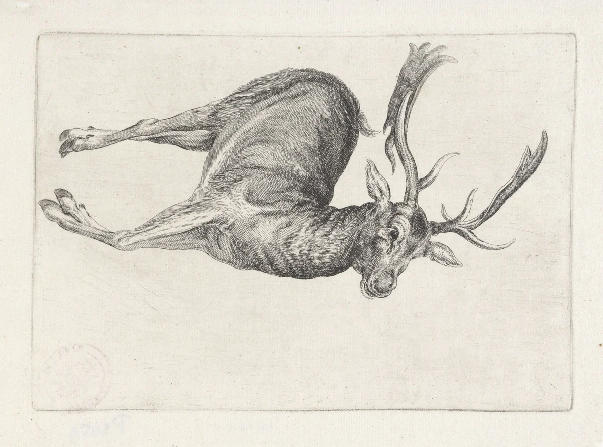 Geschoten wild: een dood hert by Wenceslaus Hollar, print, 1646-1647