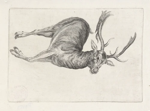 Geschoten wild: een dood hert by Wenceslaus Hollar, print, 1646-1647