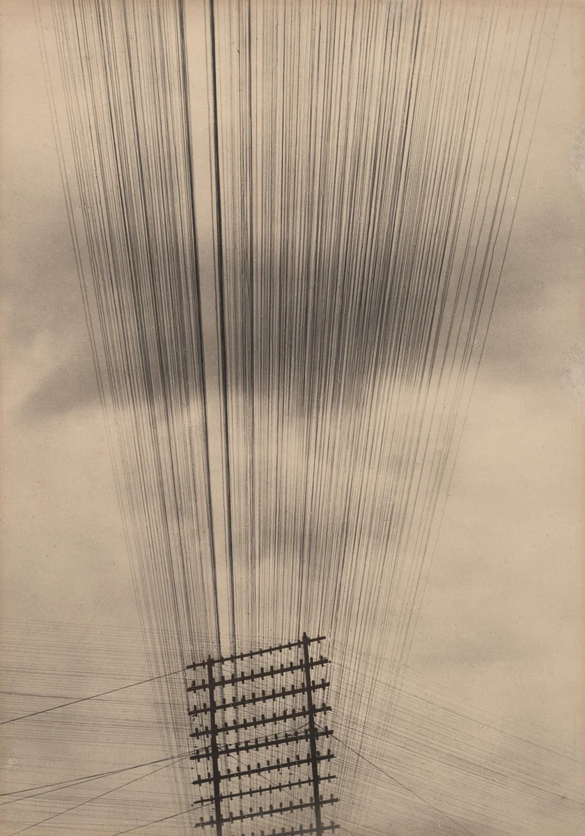 Telephone Wires, Mexico by Tina Modotti, photograph, 1925