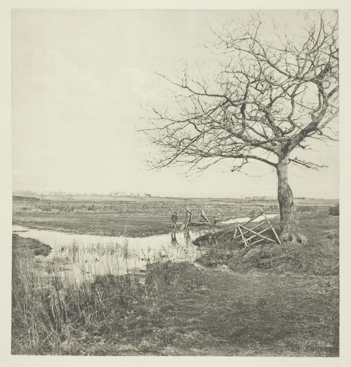 Leafless March (Suffolk) by Peter Henry Emerson, print, 1878-1892