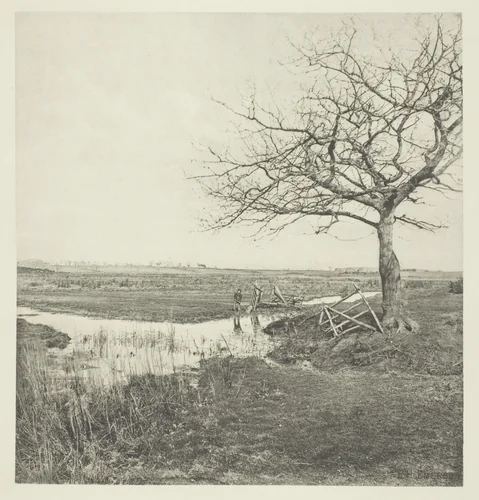 Leafless March (Suffolk) by Peter Henry Emerson, print, 1878-1892