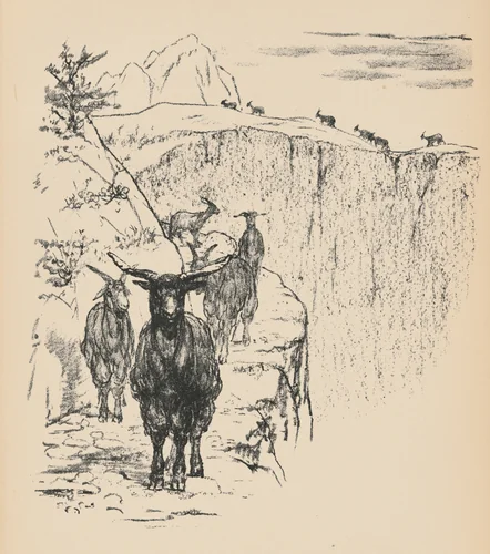 Ziegen (Goats) from Deutsche Graphiker der Gegenwart (German Printmakers of Our Time) by August Gaul, print, 1916