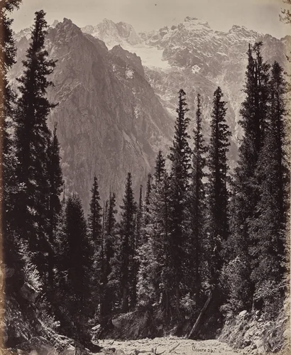 The Upper Himmalayahs. View in the Manga Valley by Samuel Bourne, photograph, 1863-1870