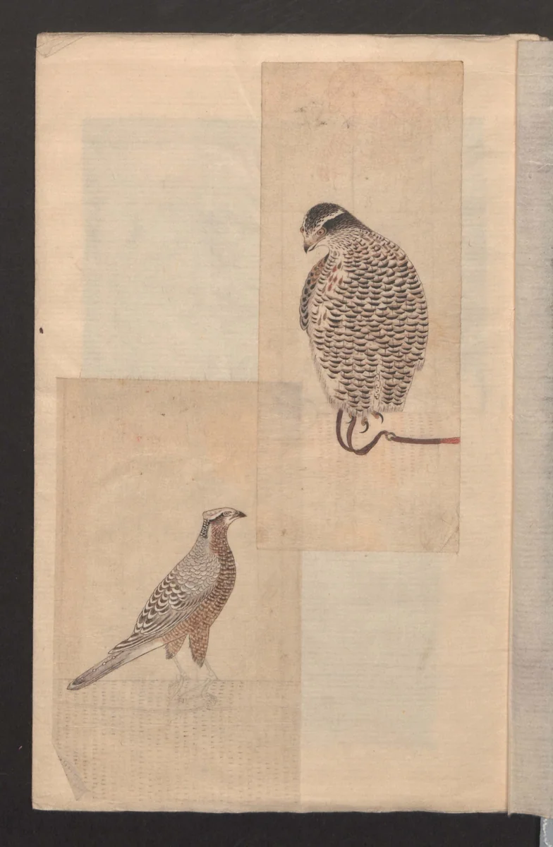 Album of Sketches for Lacquer Decoration (Makie shitae no zu) 蒔絵下絵の図 by Unidentified Artist, book, 1839