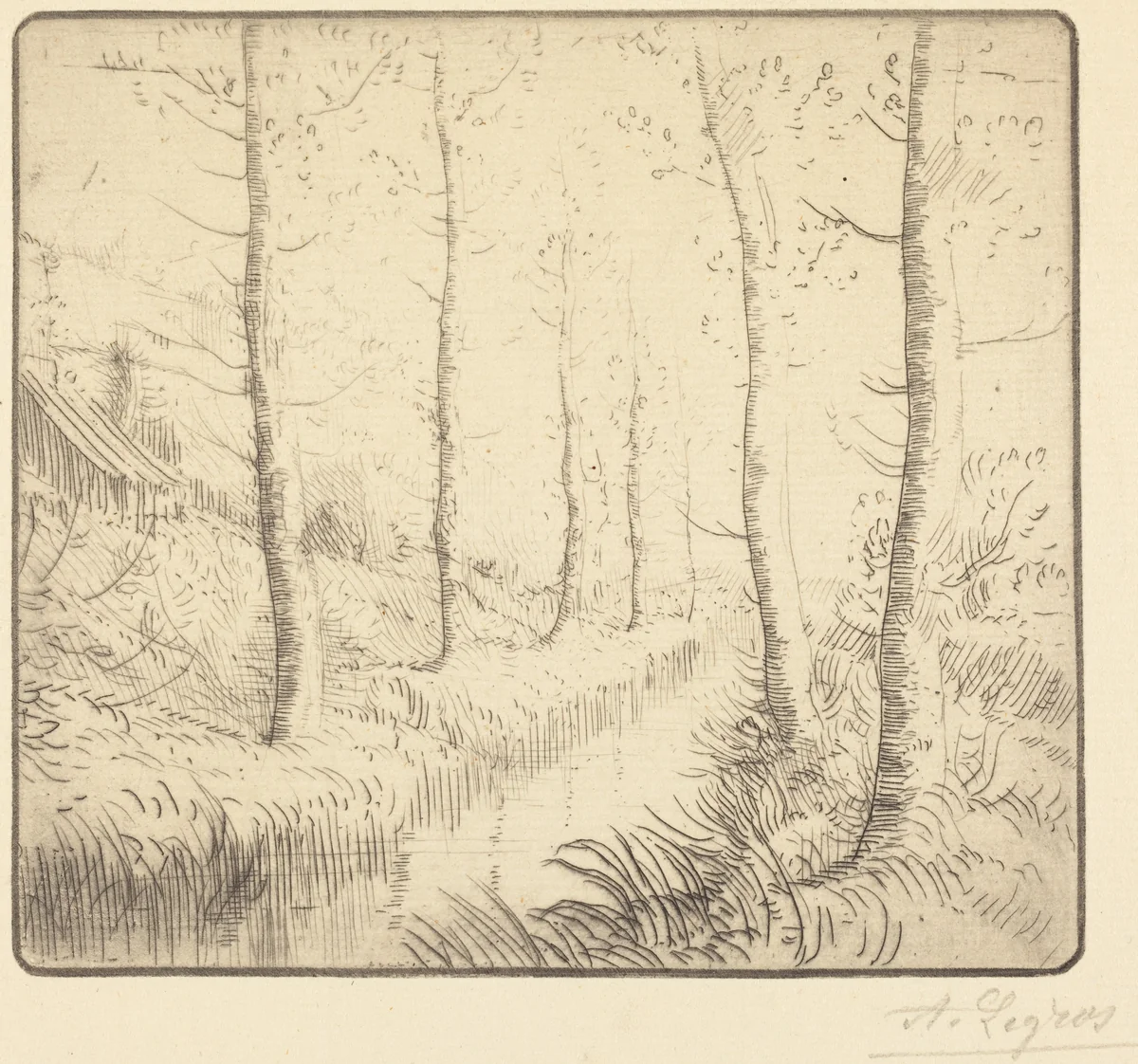 Birch Trees along the Water (Les bouleaux: Bord de l'eau) by Alphonse Legros, print, 1837-1911