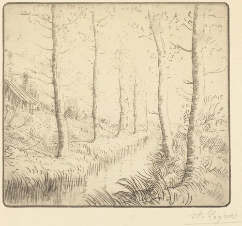 Birch Trees along the Water (Les bouleaux: Bord de l'eau) by Alphonse Legros, print, 1837-1911