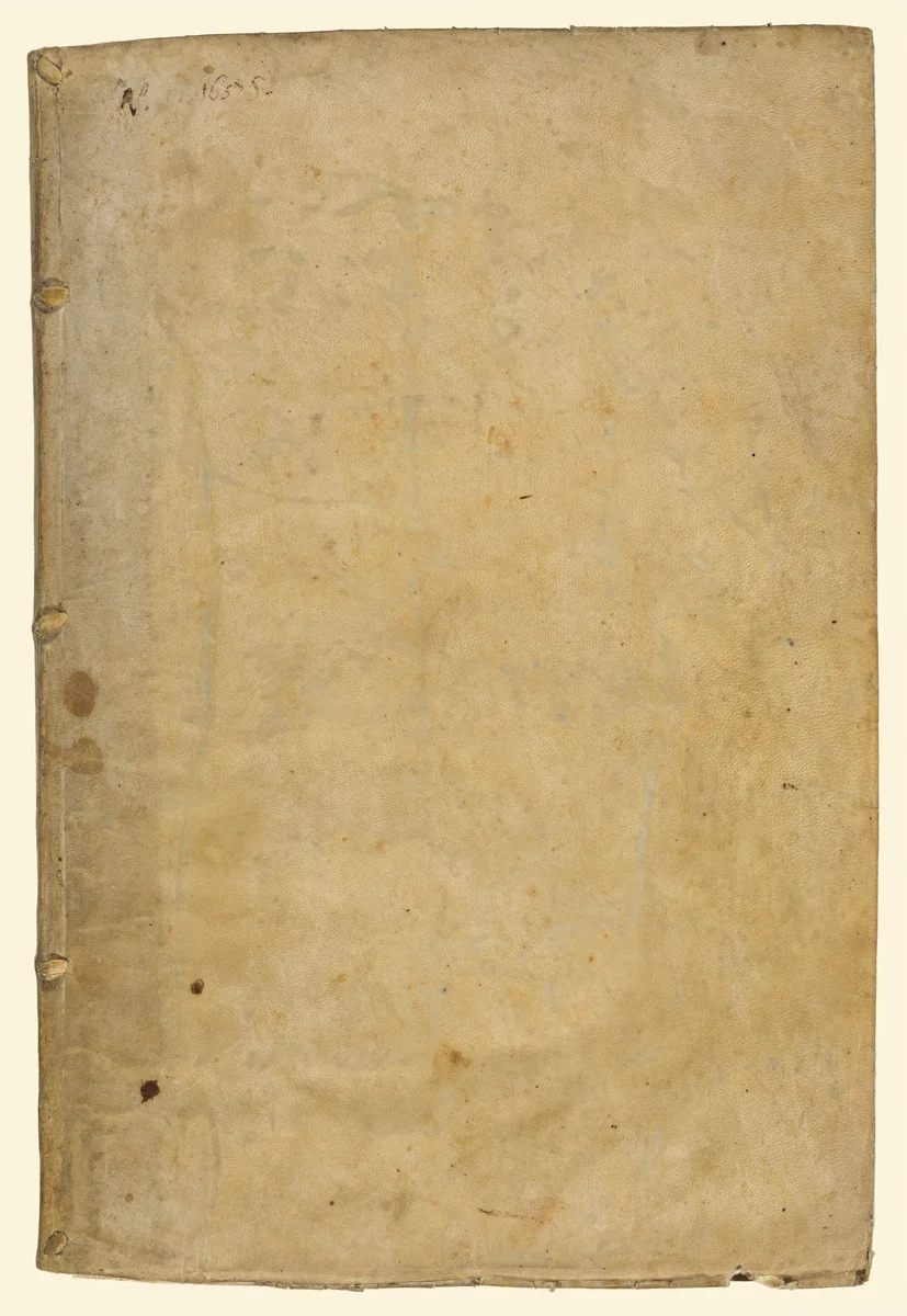 Feste celebrate in Napoli per la nascita del serenissimo prencipe di Spagna by Andrea Cirino; Nicolas Perrei; Jusepe Martinez, volume, 1658