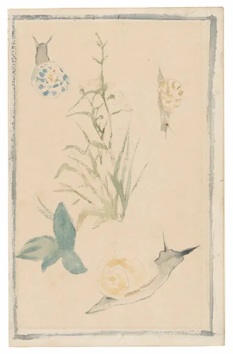 Sketches of Snails, Flowering Plant by Édouard Manet, painting, 1864-1868