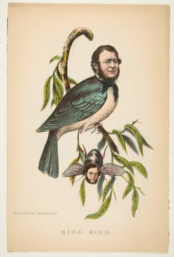 King Bird (Robert P. King and Alexander Baird), from "The Comic Natural History of the Human Race" by Henry Louis Stephens, print, 1851