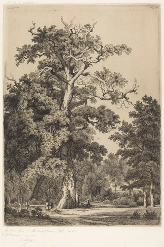 Ancient Oak in the Bois de Boulougne by Eugène Bléry, print, 1855