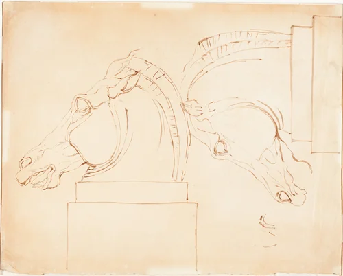 The Horse of Selene from the Elgin Marbles [recto] by William Etty, drawing, 1807-1849