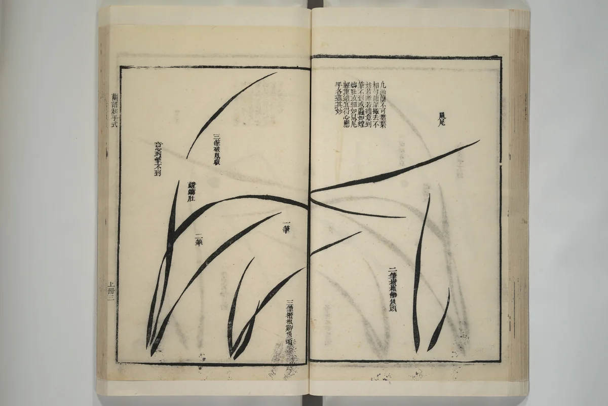 Part 2 from The Mustard Seed Garden Painting Manual (3rd Chinese edition) 芥子園畫傳 by Wang Gai (王槩), book, 1800