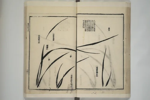 Part 2 from The Mustard Seed Garden Painting Manual (3rd Chinese edition) 芥子園畫傳 by Wang Gai (王槩), book, 1800