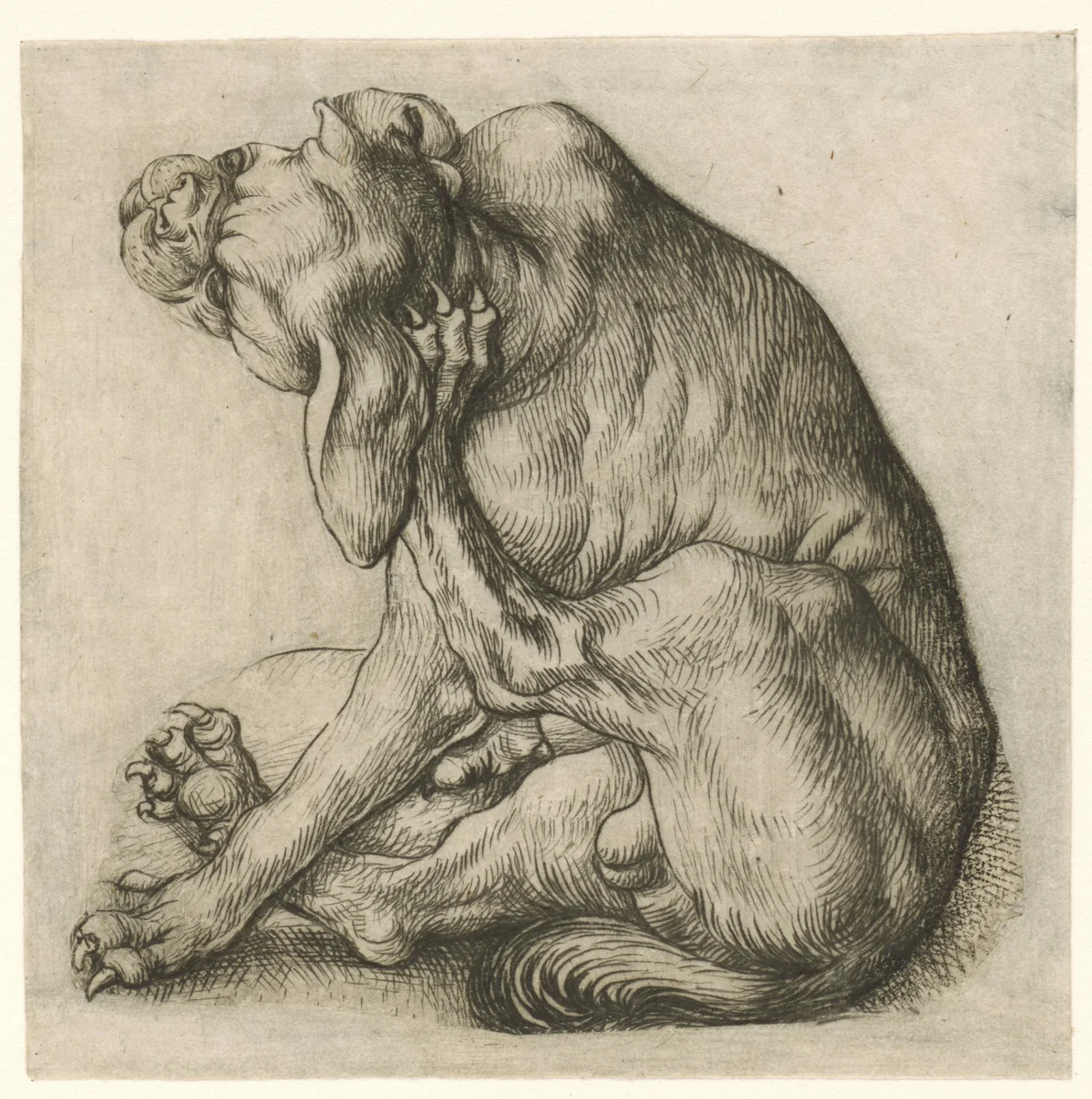 Krabbende hond by Meester van het Amsterdamse Kabinet, print, 1473-1477