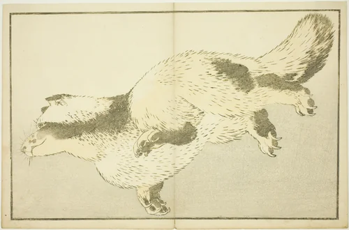 Fox, from The Picture Book of Realistic Paintings of Hokusai (Hokusai shashin gafu) by Katsushika Hokusai (葛飾 北斎), print, 1809-1819