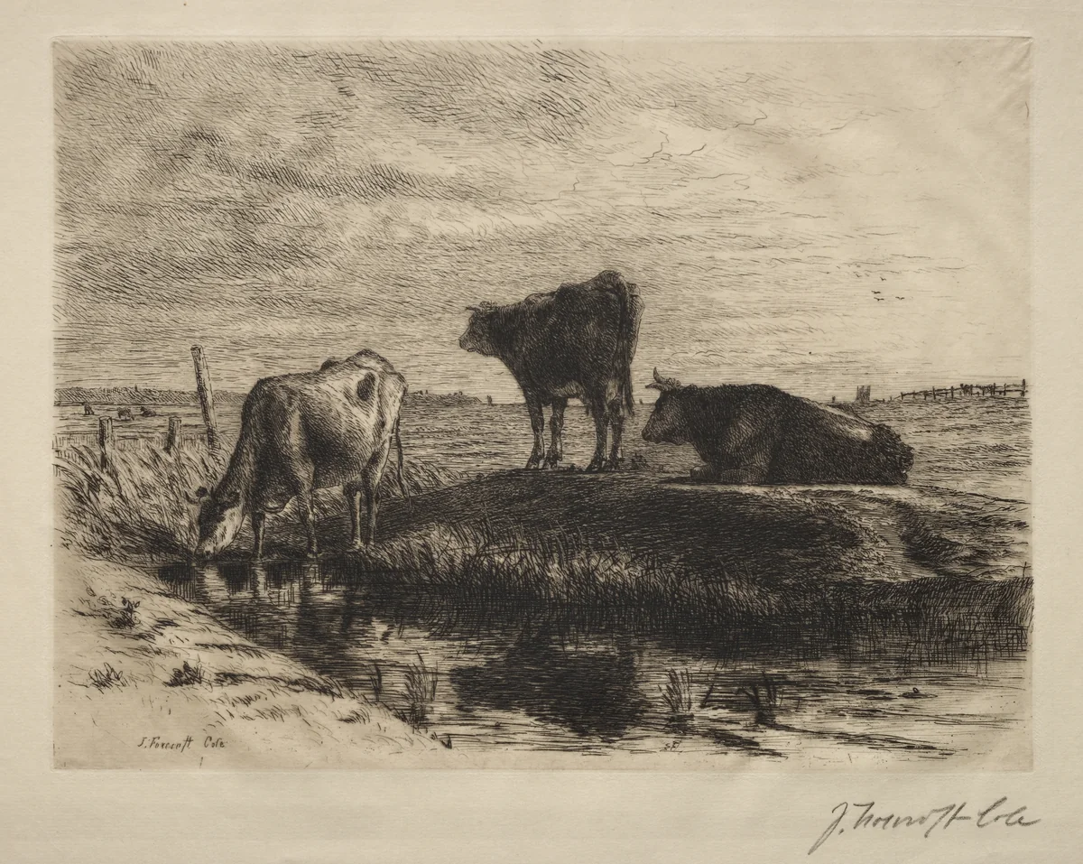 The Three Cows by Joseph Foxcroft Cole, print
