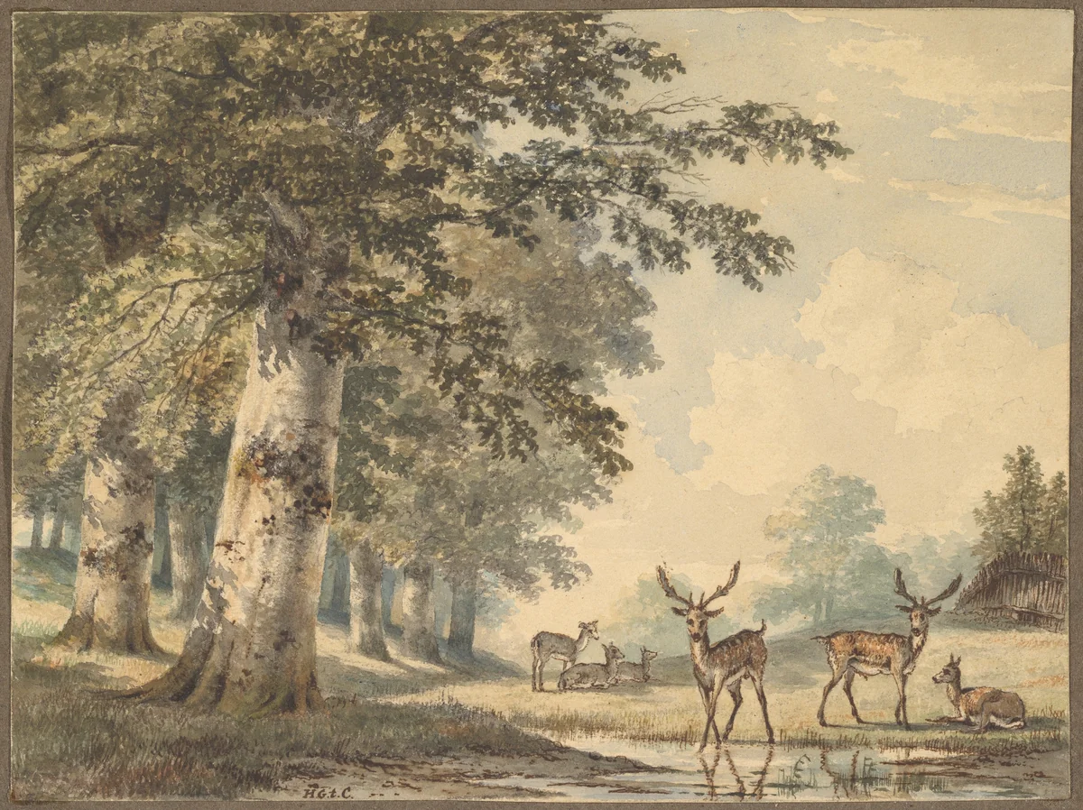 Deer under Beech Trees in Winter by Hendrik Gerrit ten Cate, drawing, 1853
