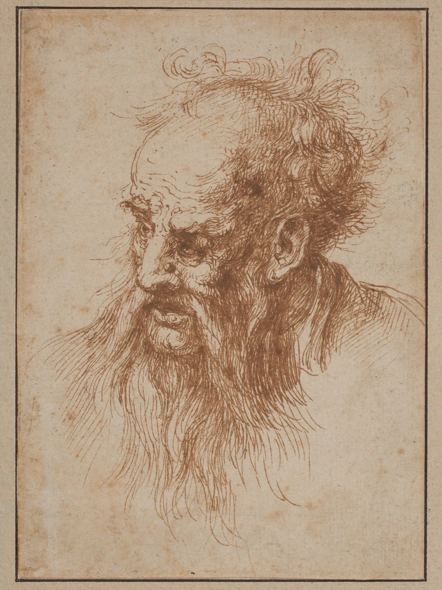 An Elderly Man with a Flowing Beard by Spanish 17th Century, drawing, 1600-1699
