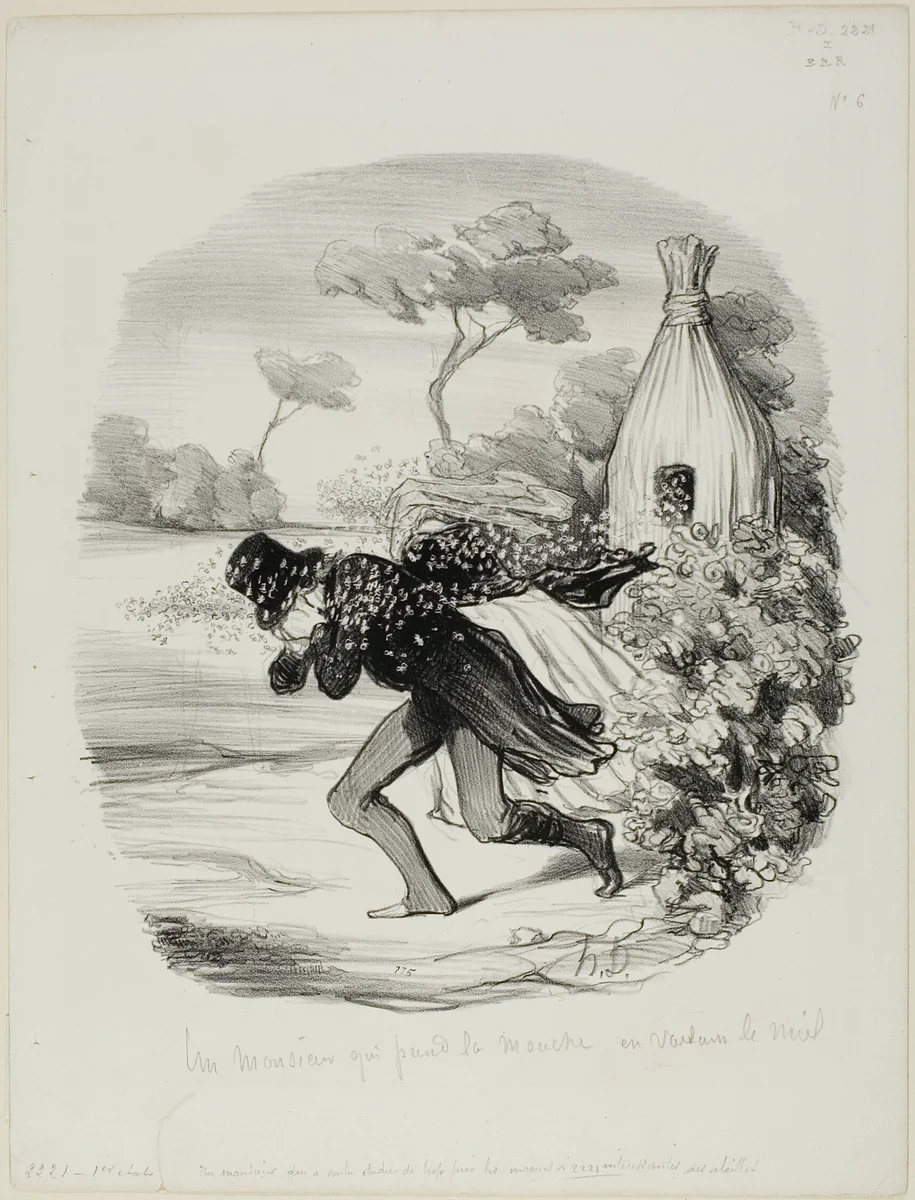 A Gentleman Who Wanted to Study the Habits of Bees too Closely, plate 6 from Pastorales by Honoré-Victorin Daumier, print, 1845