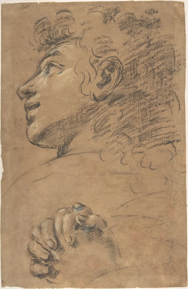 Profile Head of a Youth Looking to Upper Left, and Study of Clasped Hands by Giacomo Cavedone, drawing, 1577-1660