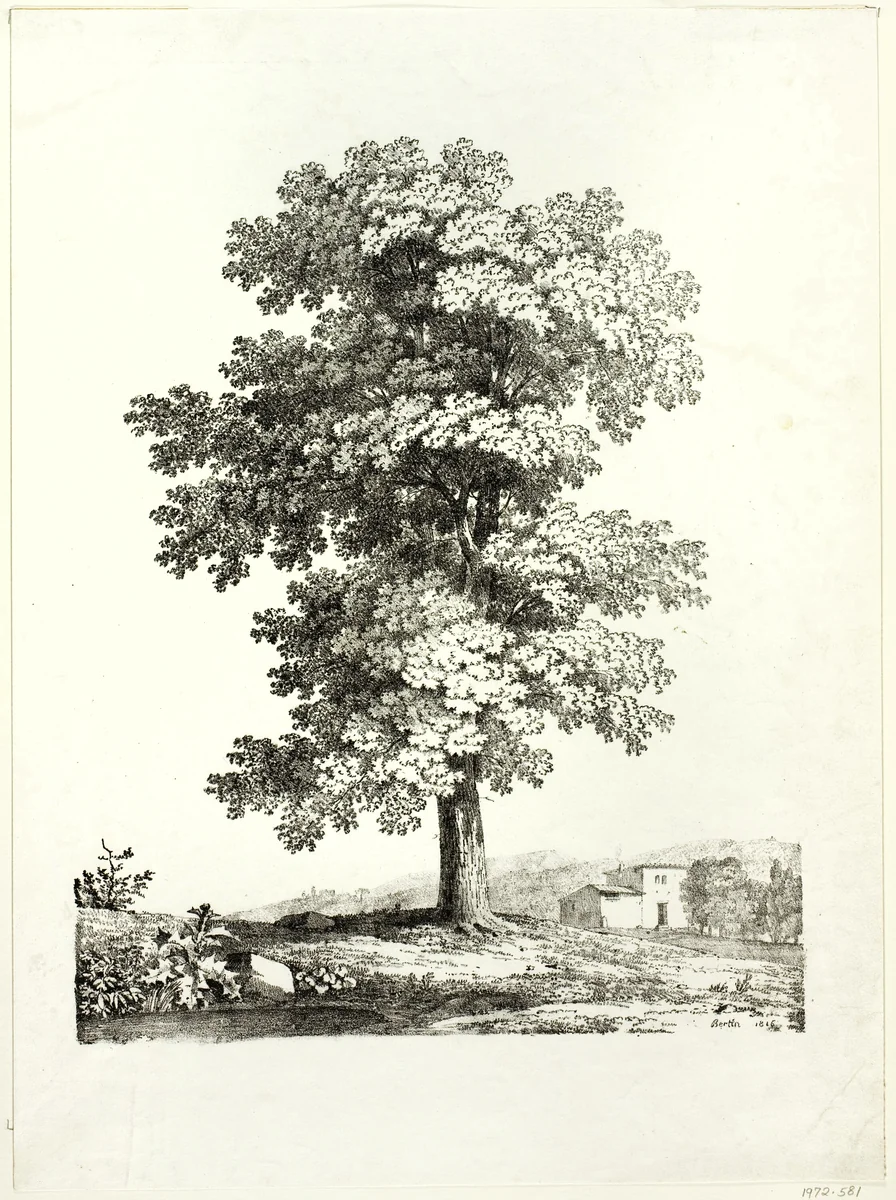 Study of a Tree by Jean-Victor Bertin, print, 1816