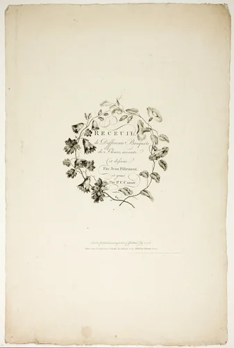 Cover for Collection of Different Bouquets of Flowers, Invented and Drawn by Jean Pillement and Engraved by P. C. Canot by Pierre-Charles Canot, print, 1760