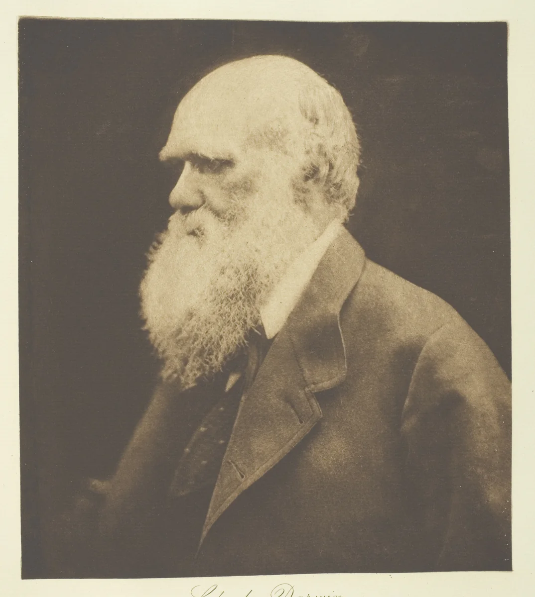Charles Darwin by Julia Margaret Cameron, print, 1868