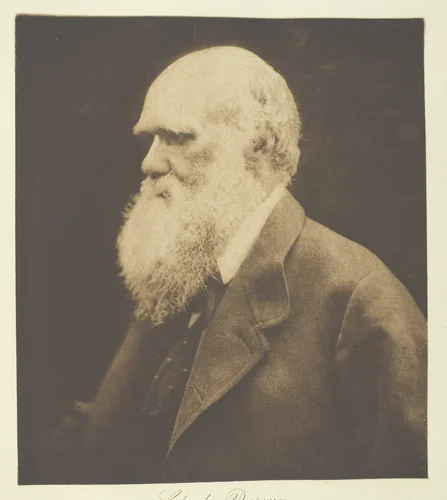 Charles Darwin by Julia Margaret Cameron, print, 1868