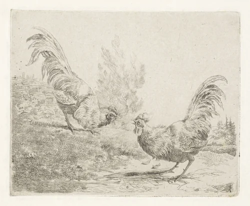 Twee vechtende hanen by Albertus Verhoesen, print, 1816-1881