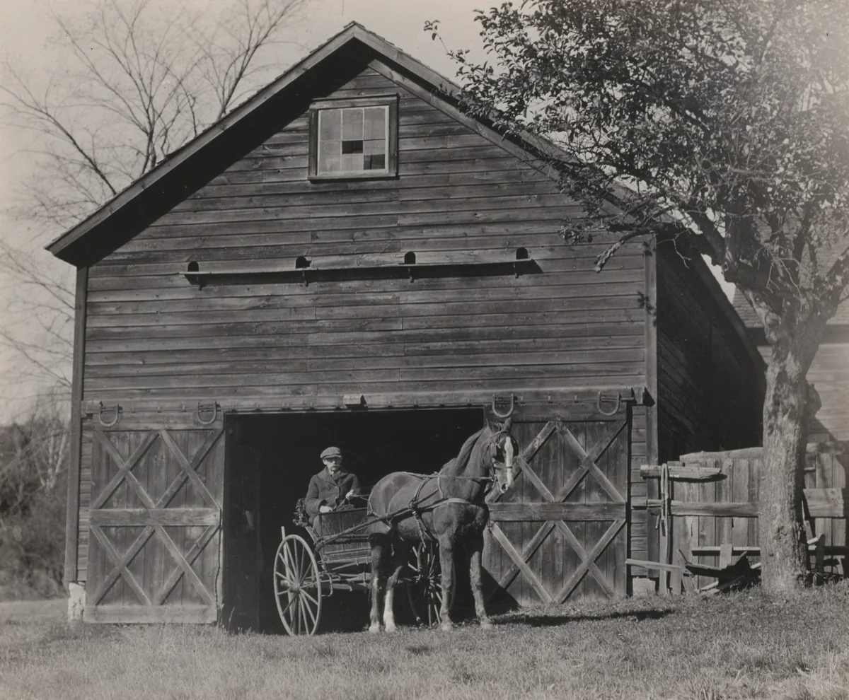 Horse and Carriage by Alfred Stieglitz, photograph, 1922
